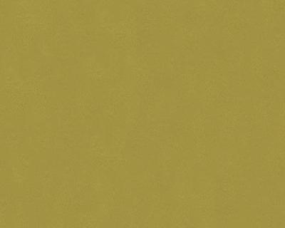 Фото A.S.Creation AP 2000 3117-33