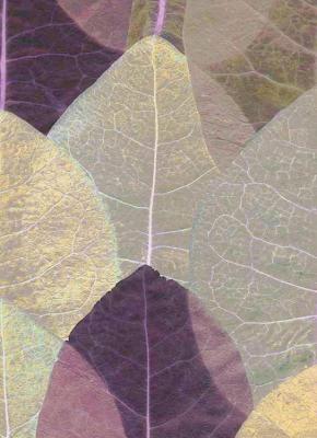 Erismann Countryside 2166-09