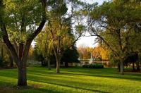 Деревья в парке