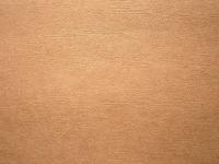 Фото Rasch Rialto 2007 482560