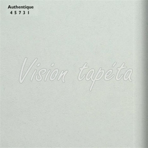 Фото BN International Authentique 45731