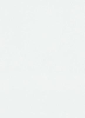 Фото Erismann Fashion for Walls 2 106 12035-01