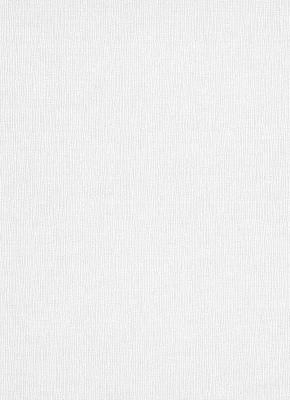 Фото Erismann Robusto Vol.2 3915-01