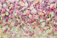 Цветочное богатство