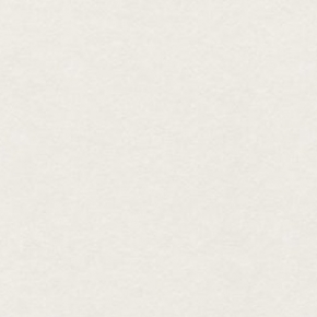 Фото Sandudd Hopealehti 4879-3