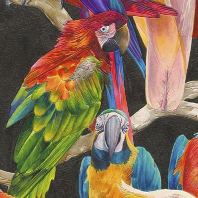 Rasch Tiles & More 2014 823608