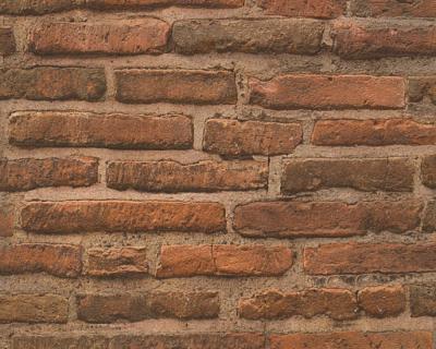 Фото A.S.Creation New Look 30747-1