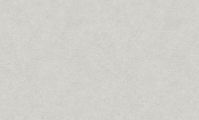 Фото Erismann Fashion for Walls 5 12262-31