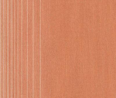 Фото Rasch Intuicion 2011 733402