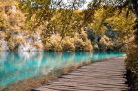 Мостик возле озера