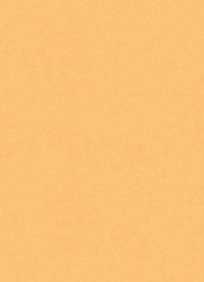 Фото Erismann Lotta 7352-04