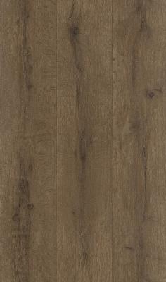 Фото Rasch Black Forest 2016 514469