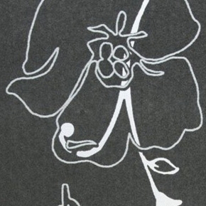 Фото BN International Flair 42707