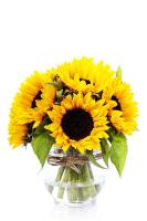 Подсолнухи в вазе