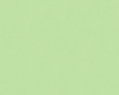 Фото A.S.Creation X-Ray 34248-6