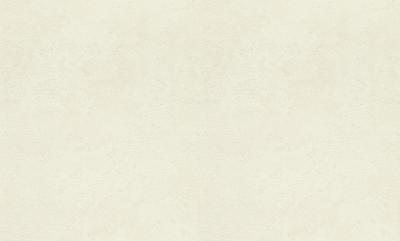 Фото Rasch Metal Spirit 977103