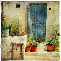 Цветы в горшках