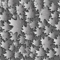 Серебристые листья