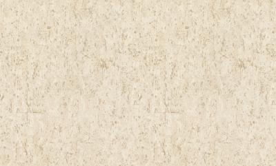 Фото Rasch Metal Spirit 977417