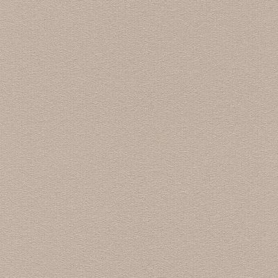 Rasch Home Vision 6 427202