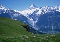 Снег в горах