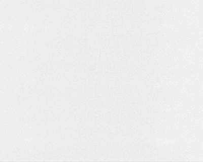 Фото A.S.Creation White & Colours 884114