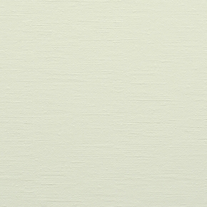 Фото BN International Diva 43745