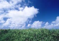 Облака над полем