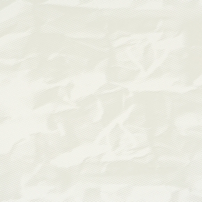 Фото BN International Motion 46591