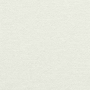 Фото BN International Glamour 43018