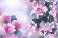 Розы и лилии