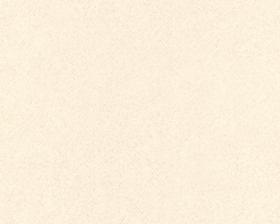 Фото A.S.Creation MV meets XXL 715128