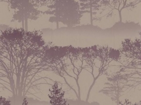 Фото Graham & Brown Elixir 50-203