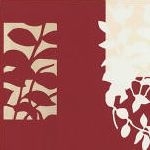 Фото BN International Q2 43126