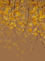 Осень пришла