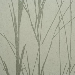 Фото BN International Authentique 45761