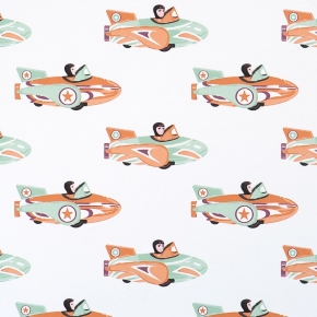 Фото BN International Studio Ditte 47910