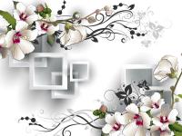 Контраст форм