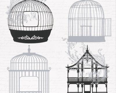 Фото A.S.Creation Dekora Natur 5 894526