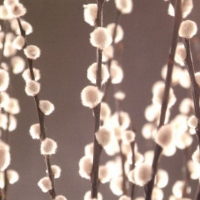 Фото Marburg Colour Life 45226