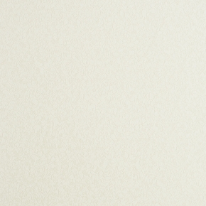 Фото BN International Heronymus 45864