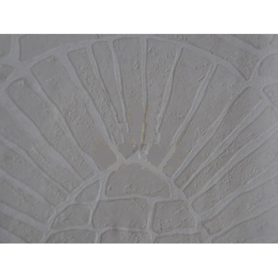 Фото Rasch Tiles & More 814019