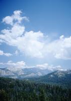 Облака над лесом