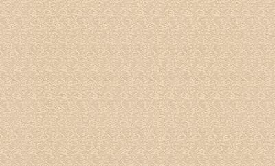 Фото Rasch Maximum XI 926040