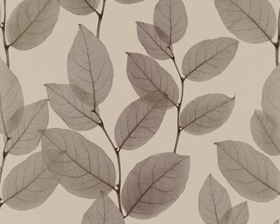 Фото A.S.Creation X-Ray 34247-5