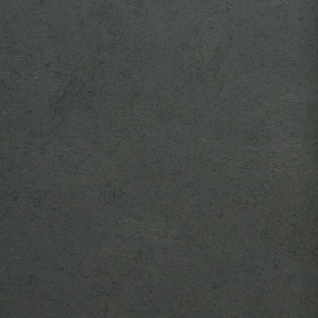 Фото BN International Authentique 45737