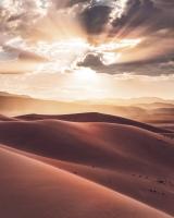 Komar SH017-VD2 (God Rays)