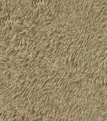 Фото Rasch Black Forest 2016 514513