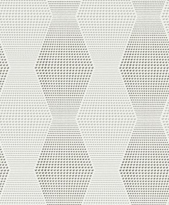 Фото Rasch Chorus Line 2014 470048