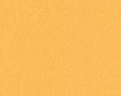 Фото A.S.Creation MV meets XXL 715616